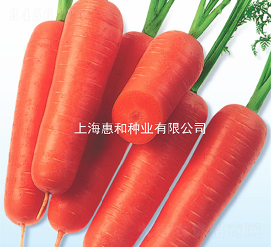 ����-���}���N��-�ݺͷN�I