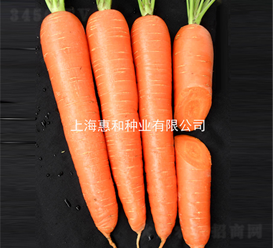 ϲ�S��̖-���}���N��-�ݺͷN�I