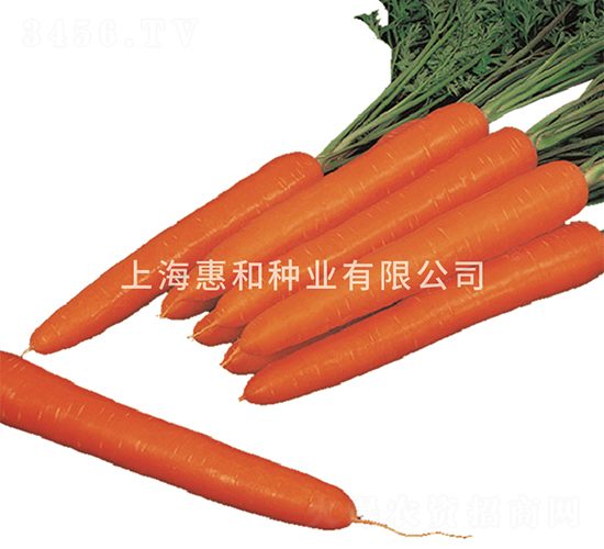 ؐ��-���}���N��-�ݺͷN�I