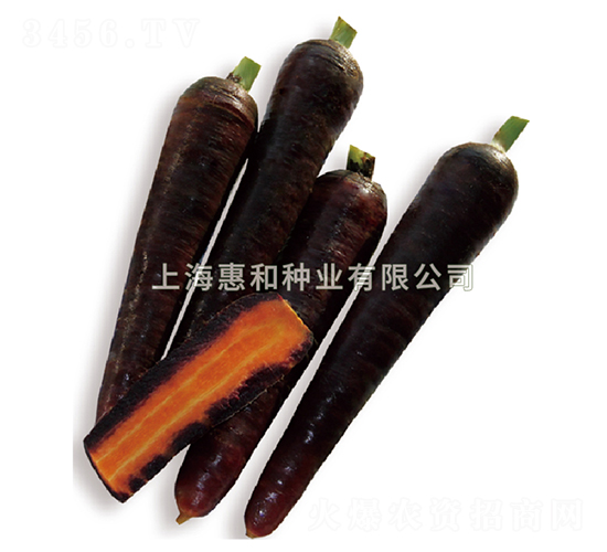 ����-���}���N��-�ݺͷN�I