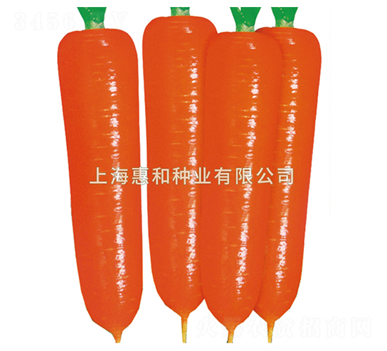 �tʥʮ̖-���}���N��-�ݺͷN�I(y��)