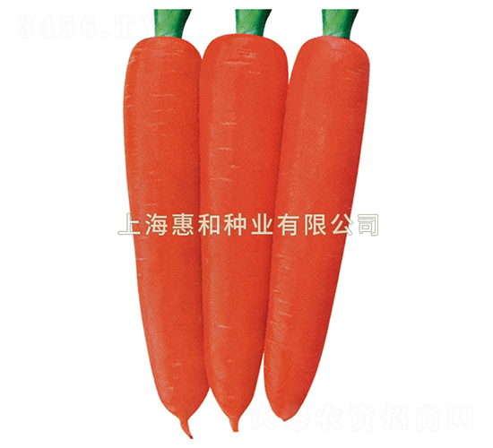 �tʥ��̖-���}���N��-�ݺͷN�I