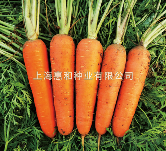 ِ�t-���}���N��-�ݺͷN�I