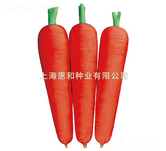 �_��˹һ̖-���}���N��-�ݺͷN�I