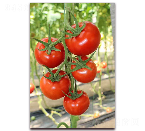 �����_(d��)-���ѷN��-����N�I(y��)