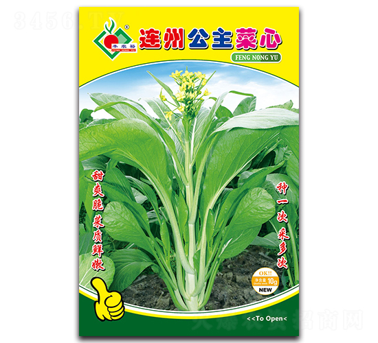 �B�ݹ�������-���ķN��-�Sԣ�r�I