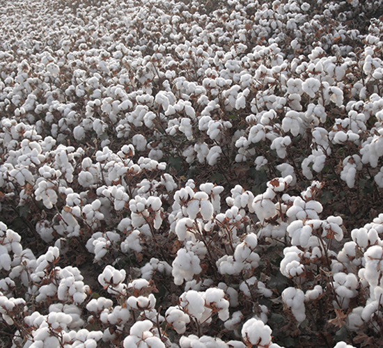 �����67̖-�޻��N��-�����r�I