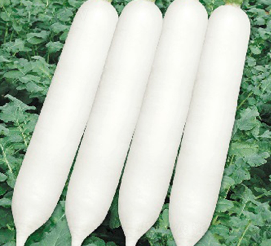 �L��-�}���N��-�ݠ���