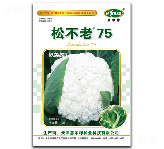 松不老75-松花菜種子-惠爾稼