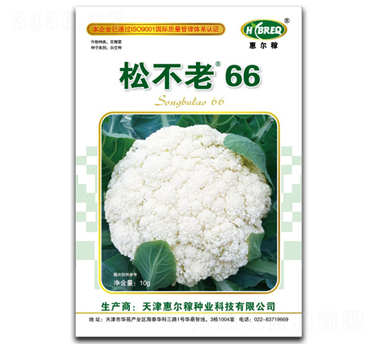 松不老66-松花菜種子-惠爾稼