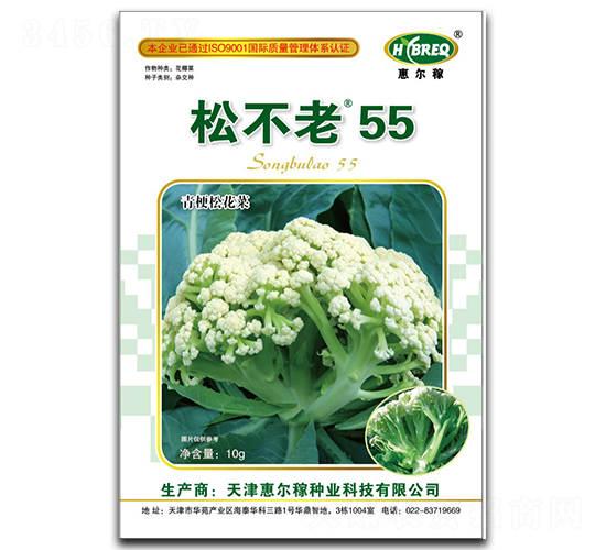 松不老55-松花菜種子-惠爾稼