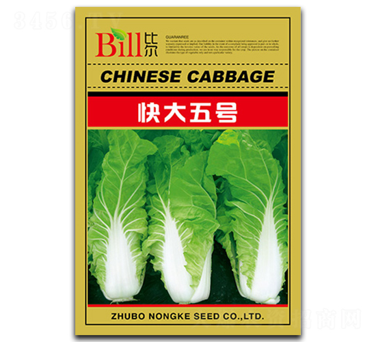 快大五號-快菜種子-比爾
