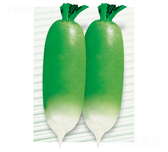 ƽ�S��̖-�}���N��-ƽ�S�N�I