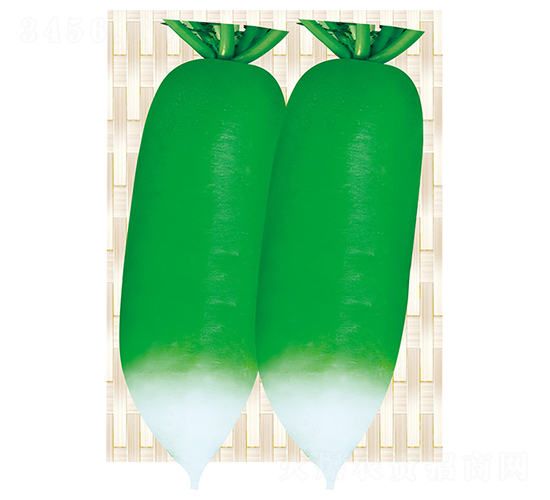 ƽ�S��̖(h��o)-�}���N��-ƽ�S�N�I(y��)