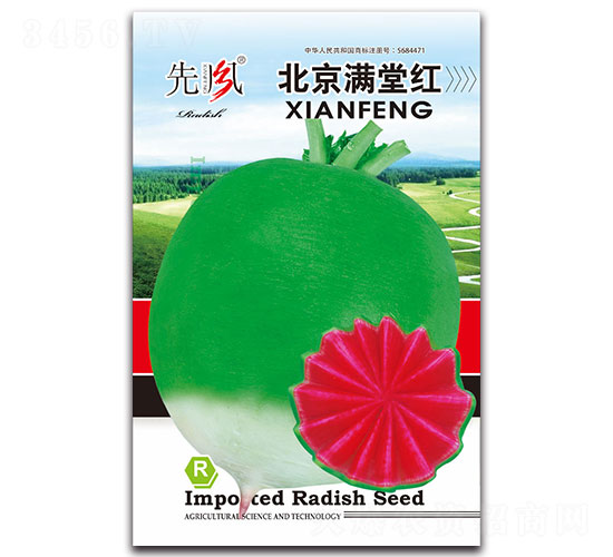 �����M�üt-�}���N��-���L