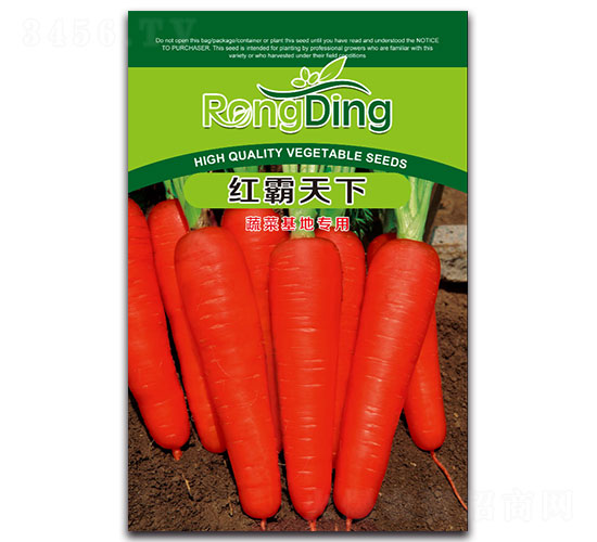紅霸天下-蘿卜種子-先風(fēng)