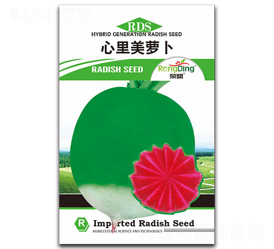 心里美蘿卜-蘿卜種子-先風
