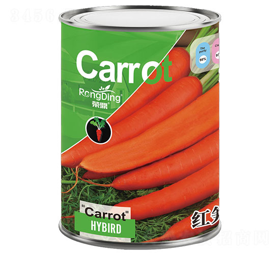 �t�S818-�}���N��-���L