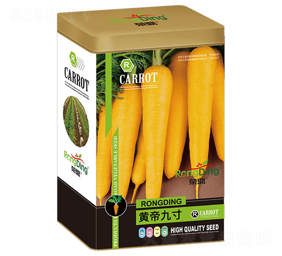 �S�۾Ŵ�-�}���N��-���L