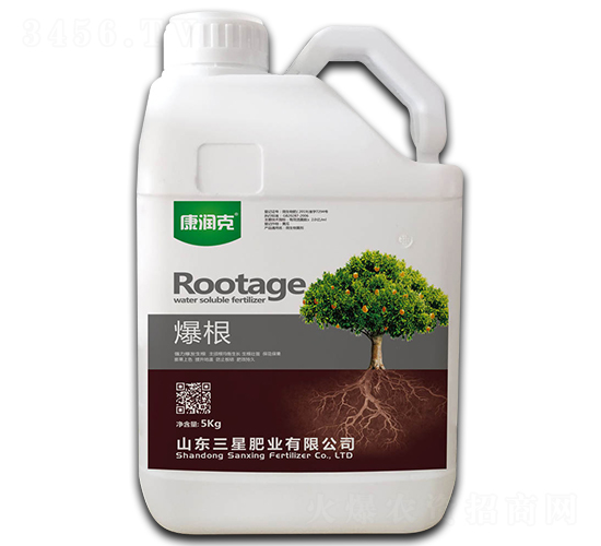 ����-������-���ǷʘI