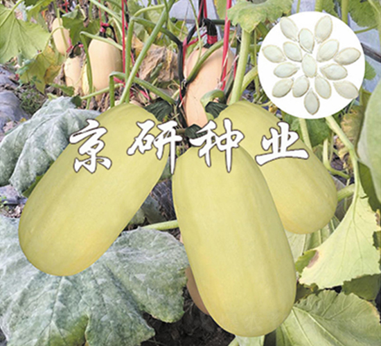 �������S2̖-�����J�N��-����