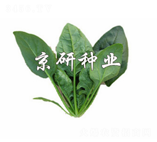 ����700-���˷N��-����