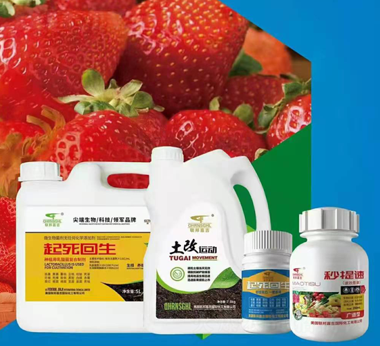 ��ݮ�t�����������ײ�-��μ�