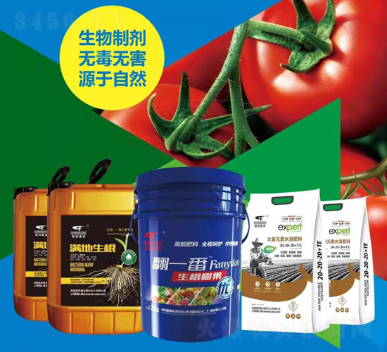 �S��+�²�ʩ�ʷ���-(li��n)��μ�