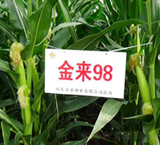 ����98-���׷N��-�����N�I