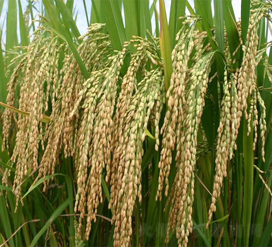 ����140-ˮ���N��-�����r�I