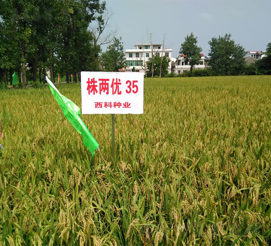 ��Ƀ�(y��u)35-ˮ���N��-�����r�I(y��)