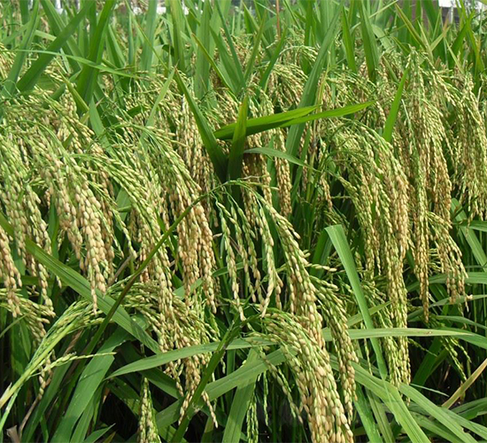 ������1340-ˮ���N��-�����r�I