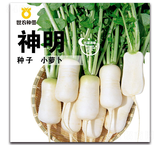 ����С�}��-�}���N��-���r�N��