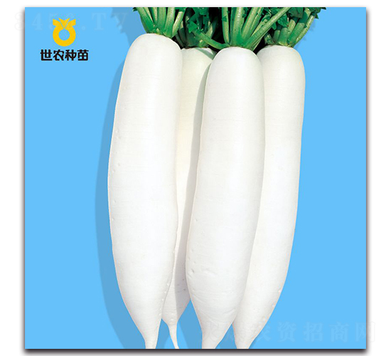 ����-�}���N��-���r�N��