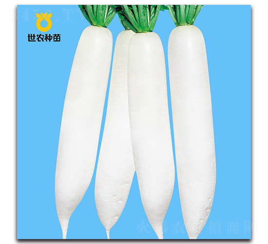 YR�°���-�}���N��-���r�N��