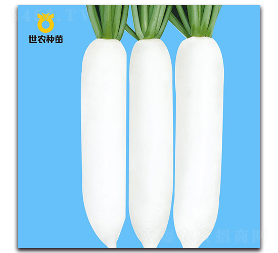 ������-�}���N��-���r�N��