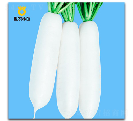 ѩ�`-�}���N��-���r�N��