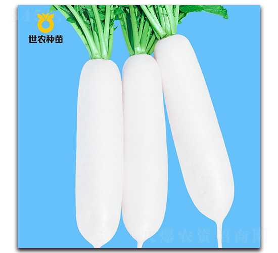 ���r����-�}���N��-���r�N��