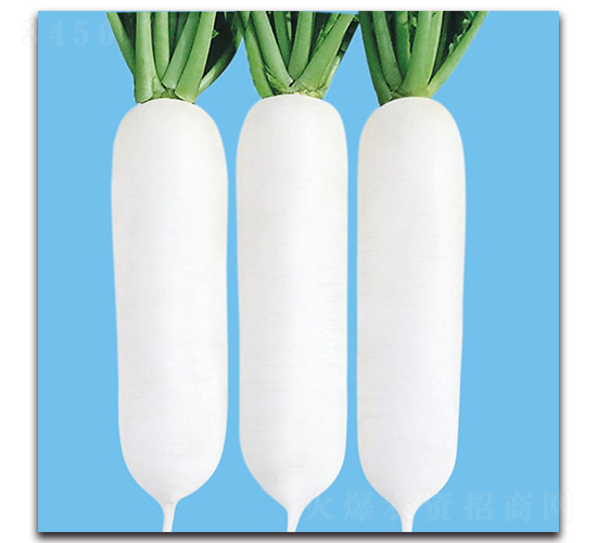 CR���r301-�}���N��-���r�N��