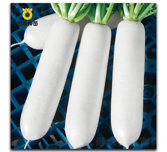 ����-�}���N��-���r�N��