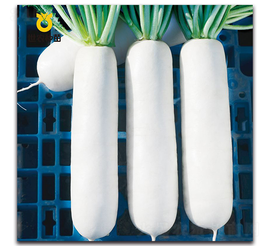 �蝍-�}���N��-���r(n��ng)�N��