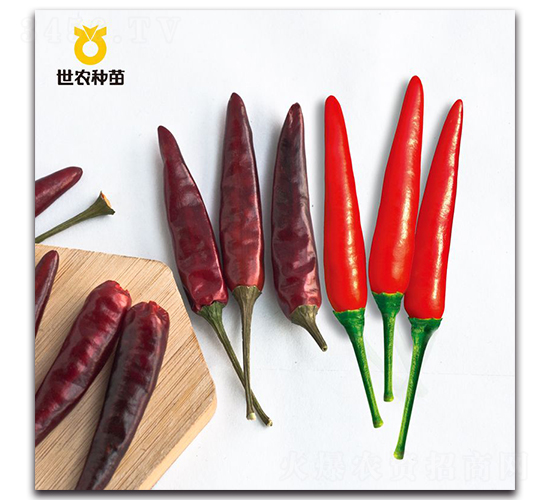 ���r̩��-�����N��-���r�N��