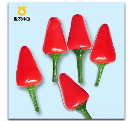 �׿���-�����N��-���r�N��