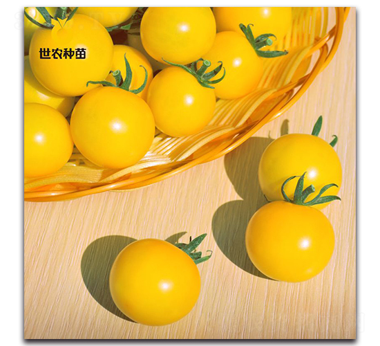 ���-���ѷN��-���r�N��