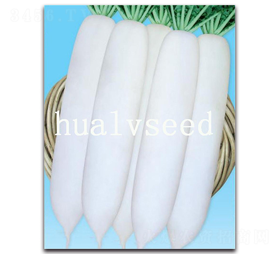 �����}��8̖-�}���N��-�A�G