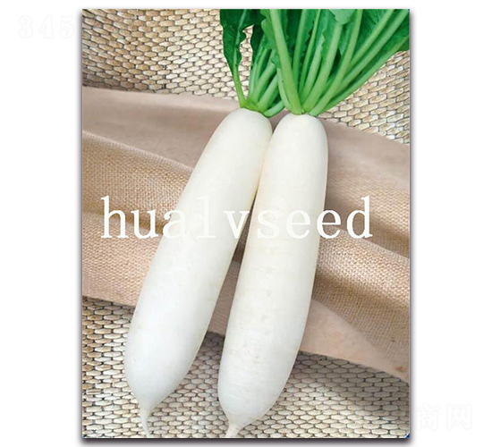 �Ĺ����-�}���N��-�A�G