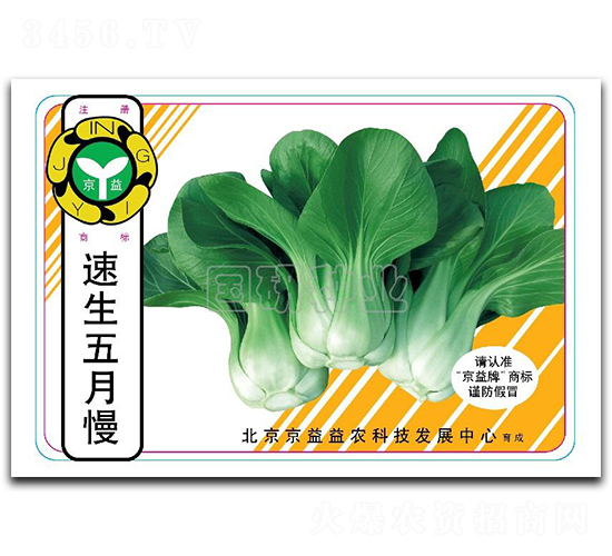 速生五月慢-油菜種子-國研種業(yè)