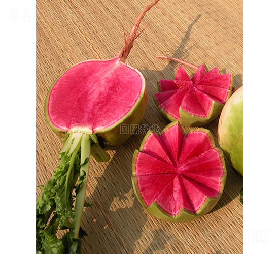 ��M�t�s���}��-�}���N��-���зN�I(y��)