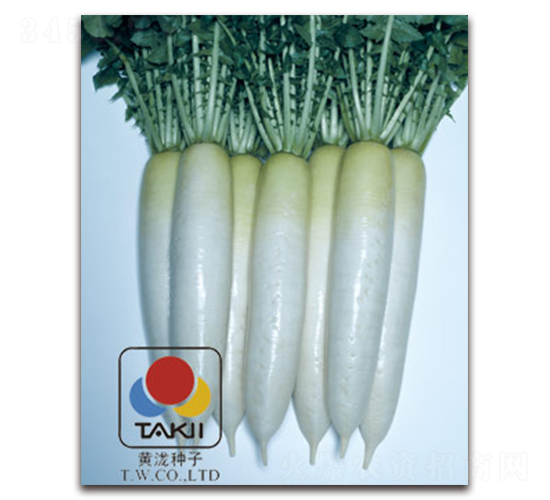 ��ѩ��̫-�}���N��-�S�{�N��