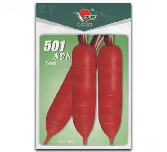 501ˮ�}��-�}���N��-�ʴ��r�I